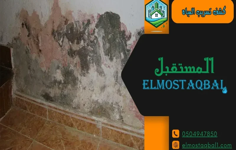تسرب المياه من كرسي الحمام